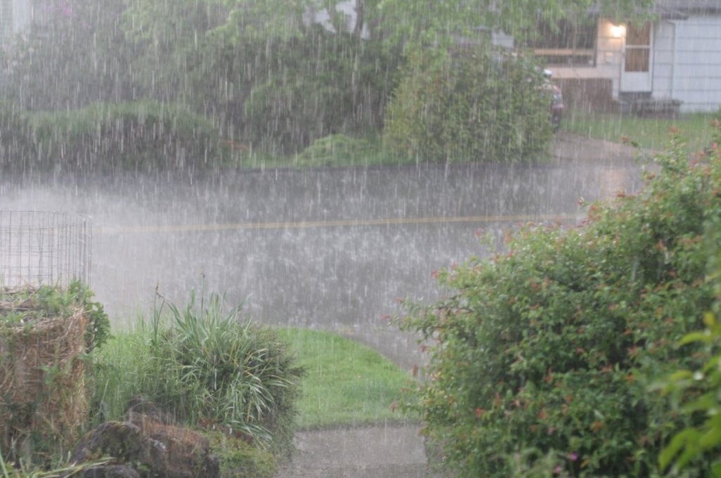 Florida Rain Storm